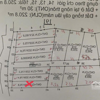 Bán Đất Siêu Hot Giáp Ranh Khu Công Nghiệp Tam Dương Tại Hướng Đạo, 800 Triệu, 210 M2