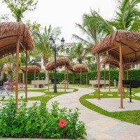 Bán Shophouse 60M2 Xây 5 Tầng 240M2 6 Phòng Ngủ 4 Vệ Sinhgần Công Viên Vh Ocean Park 2 Sẵn Sổ Đỏ Giá Bán 7,85 Tỷ