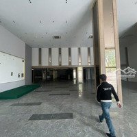Cho Thuê Mặt Bằng Kinh Doanh Phố Ngô Quyền 505M2 X 2 Tầng Mt25M Thông Sàn Giá 37$/M2
