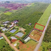 Bán Lô Biệt Thự Hơn 500M2 (15X34M), Có Sẵn 250M2 Thổ Cư, Cạnh Farm Đã Tách Thành 3 Sổ