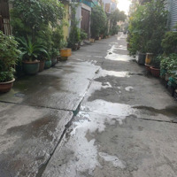 Bán Nhà Riêng 2,5 Tỷ, 44M2 Tại Nguyễn Văn Quá, Đông Hưng Thuận, Quận 12, Hcm, Giá Cực Chất