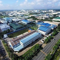 Thanh Lý Đất Đường Phùng Hưng - Gần Kcn Tam Phước - Giá Chỉ 950 Triệu/100M2- Số Sẳn