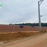 Cho Thuê Nhà Xưởng 24.000M2 (Tách Lẻ Từ 2.700M2) - Tân Uyên, Bình Dương