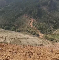 Bán Đất Phong Thủy 15000M2 View Đồi Thông, Suối, Núi Và Ruộng Tại Thôn 7 Xã Gia Hiệp, Huyện Di Linh