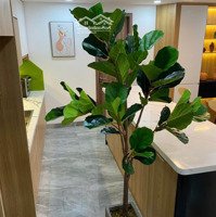Lô Góc Tiện Xây Villa - 2Mt Khu Bình Lợi - P13 - Bình Thạnh. Ngang Lớn(12X18M) Khu Vip Sát Sông Sg