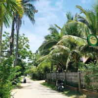 Bán Villa View Dừa Thoáng Mát Tại Cẩm Thanh Hội An - Thiết Kế Sang Trọng (Ms276)