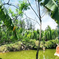 Bán Villa View Dừa Thoáng Mát Tại Cẩm Thanh Hội An - Thiết Kế Sang Trọng (Ms276)