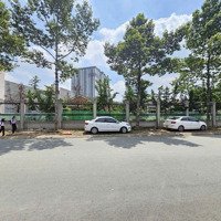 Mặt Tiền Biệt Thự Gần Big C Go, Kế Ngã 3 Cây Lơn, P. Đông Hòa, Tp. Dĩ An