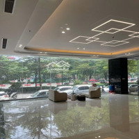 Siêu Víp Đường Láng - Ba Thoáng - Vỉa Hè 10M - Mặt Tiền 22M -2 Hầm 2 Thang. Giá Yêu Thương 230 Tỷ