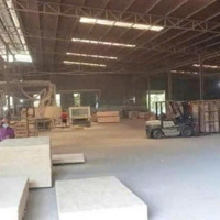 Bán Xưởng Phú Giáo 18.000M2. ,Skc 8.000M2 , Xưởng 5.000M2