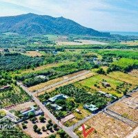 Bán Đất Long Mỹ - Phước Hải View Núi, 1,05 Tỷ, 122M2, Mặt Tiền Đường Nhựa Gần Biển