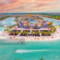 Quỹ Căn Tiêu Biểu Liền Kề, Biệt Thự, Shophouse Khu San Hô Vinhomes Ocean Park 2 Tốt Nhất Thị Trường