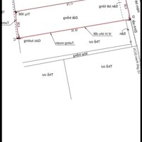 2 lô thổ cư 2/Tân Thới Hiệp 6-Q12.Dt 4,3x18~77m2~3,3ty/1 lô