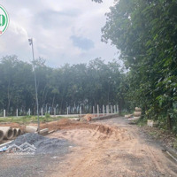 Cho Thuê Nhà Xưởng Diện Tích 6.663 M2 Tại Tân Uyên, Bình Dương
