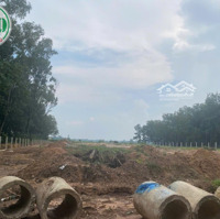 Cho Thuê Nhà Xưởng Diện Tích 6.663 M2 Tại Tân Uyên, Bình Dương