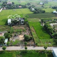 1720 M2 Đất Xây Kho, Xưởng, Biệt Thự Vườn, Cách Ql50 800M, Shr, Giá Tốt