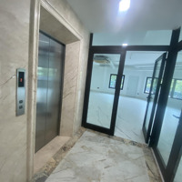 Cho Thuê Toà Nhà 6 Tầng Thang Máy, Mọi Mô Hình- Phố Trần Duy Hưng:diện Tích90M X 6 Tầng, Thông Sàn.