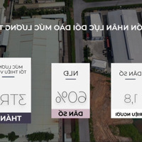 Đã San Lấp, Sẵn Sàng Bàn Giao Từ 5000-2Ha Trong Cụm Công Nghiệp Tại Hiệp Hòa, Bắc Giang (Chính Chủ)