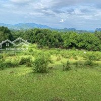 Cần Chuyển Nhượng Lô Đất Diện Tích 5333 M2 Có 400M Ont. Hòa Sơn, Lương Sơn