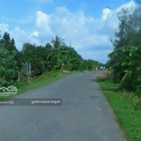Cần Bán Gấp Đất Gần Chợ An Longmặt Tiềnđ.quốc Lộ 30 An Hoà Tam Nông Đồng Tháp 120M2/ 550 Triệu Shr Tc100%