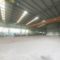 Bán Xưởng An Viễn, 8000M2 , Bình Điện 1000Kva, Giá Rẻ