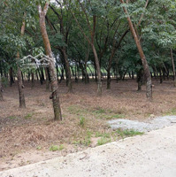 Bán Đất Hẻm Bê Tông Gần Nguyễn Văn Thành, Chánh Phú Hòa, Bến Cát, Bình Dương, 3,5 Tỷ, 2943M2