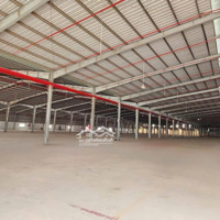 Cho Thuê Kho Xưởng 20000M2 Trong Kcn Đức Hòa 3, Đức Hòa, Long An