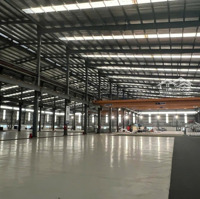 Cho Thuê Kho Xưởng 11.000 M2 Trong Kcn Nam Thuận, Huyện Đức Hòa, Tỉnh Long An