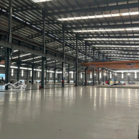 Cho Thuê Kho Xưởng 11.000 M2 Trong Kcn Nam Thuận, Huyện Đức Hòa, Tỉnh Long An