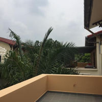 Cho Thuê Biệt Thự Palm Garden Kđt Việt Hưng, Long Biên 200M2. Giá: 28 Triệu/Tháng. Lh/Zalo: 0842666229