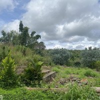 Lô Đất Nghỉ Dưỡng Giáp Suối Đá Tự Nhiên , Gần Khu Biệt Thự Trắng Gia Lâm