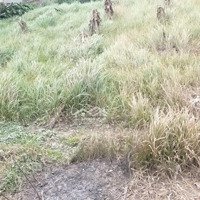 Chính Chủ Bán Đất Thanh Liêm Siêu Rẻ