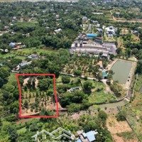 Cư Yên Thủ Phủ Nghỉ Dưỡng Của Lương Sơn 2135M2 Bám Suối, Giá Chủ Cắt Lỗ Chỉ 2. 9 Triệu/M2