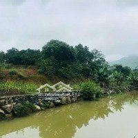Cư Yên Thủ Phủ Nghỉ Dưỡng Của Lương Sơn 2135M2 Bám Suối, Giá Chủ Cắt Lỗ Chỉ 2. 9 Triệu/M2