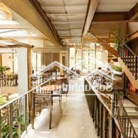 Cho Thuê Nhà Mặt Phố Huế Diện Tích 140M2X7Tmặt Tiền9M Giá Chỉ 130 Triệu Cócó Thương Lượngđầy Đủ Thang Máy Pccc Cơ Bản