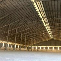 Cho Thuê Kho 12.300M2 Kcn Sông Hậu