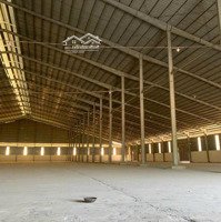 Cho Thuê Kho 12.300M2 Kcn Sông Hậu