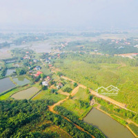 Bán Trang Trại View Đẹp Tại Đường 316, Xã Tu Vũ, Thanh Thủy, Phú Thọ, 3,5 Tỷ, 2809M2