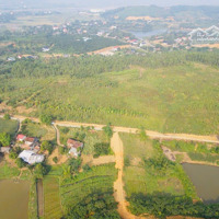 Bán Trang Trại View Đẹp Tại Đường 316, Xã Tu Vũ, Thanh Thủy, Phú Thọ, 3,5 Tỷ, 2809M2