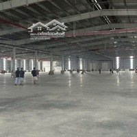 Cho Thuê Kho Phúc Thọ Hà Nội 1000M2 Giá Thuê 50K/M2