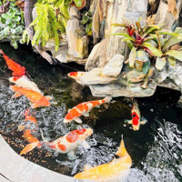 Bán Căn Biệt Thự Khu Paris Căn Góc View Sông Giá Tốt Nhất Dự Án 4X Tỷ. Liên Hệ: 0902909394 E. Vân Anh