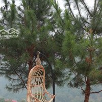 Đất Nền Nghỉ Dưỡng 1000M2 Ven Suối, Cộng Đồng Văn Minh, Đảm Bảo Nguồn Nước, Sổ Sẵn, Bám Đường 35M
