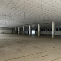 Cho Thuê Kho Xưởng Nguyễn Văn Qúa, Q12, Khuôn Viên: 8.000M2, Kho: 1.200M2, Pccc Tự Động