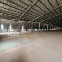 Cho Thuê Kho Xưởng Hưng Long, Bình Chánh. Diện Tích: 2.300M2. Hệ Thống Pccc Vách Tường