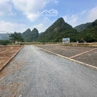 Chính Chủ Cần Bán Mảnh Đất 1147M2,Mặt Tiền60M, Phù Hợp Đầu Tư Chia Lô, Nhà Vườn Nghỉ Dưỡng, Homestay