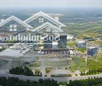 Bán Đất Đẹp 7,5X13,2: 100M2 Thổ Cư 60M2 Gần Chợ An Mỹ Phú Mỹ, Thủ Dầu Một, Bình Dương Giá Bán 1,83 Tỷ