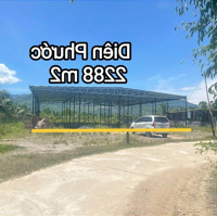 Vài Lô Đất Ngộp Diên Phước, Diên Khánh Giá Bán 700 Triệu Đến 4,5X Tỷ. Từ 71 M2 Đến 2288 M2