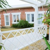 Chính Chủ Bán Căn Villa Biển Diện Tích 464M2