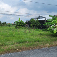 Bán Đất Mt, Sổ Hồng Riêng, Chính Chủ, Cách Cầu Chợ Gạo Mới 1,5 Km.