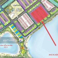 Quỹ Căn Song Lập Sao Biển 6-8-10 150M2, Mặt Tiền 10M. Giá 3X Tỷ, Ở Sướng Nhất Vinhomes Ocean Park.